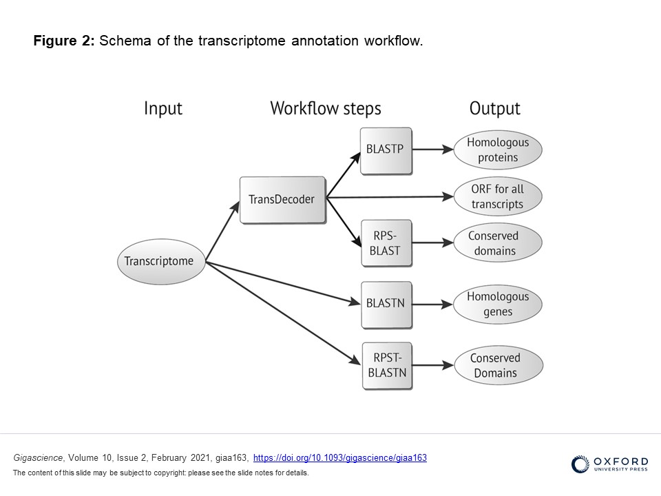 This study presents an analysis of the complexity, cost, and best practices for executing the core components of BLAST runs in the cloud.