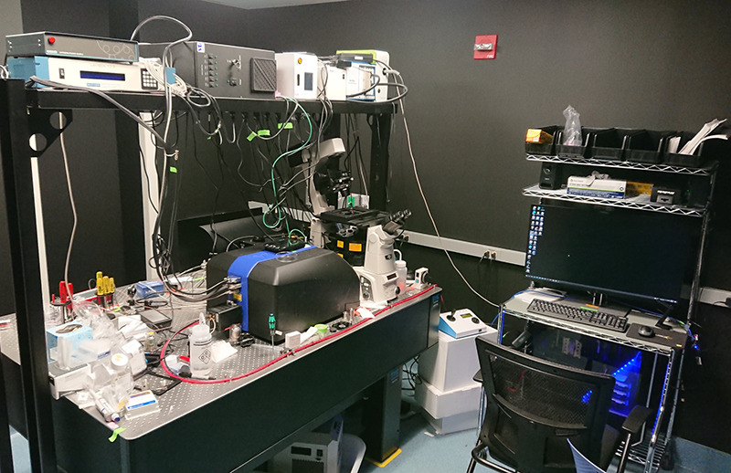 Raw imaging data paired with powerful computational tools and techniques available in the cloud allow for 3D models that help researchers at the NIH identify abnormalities that indicate diseases.